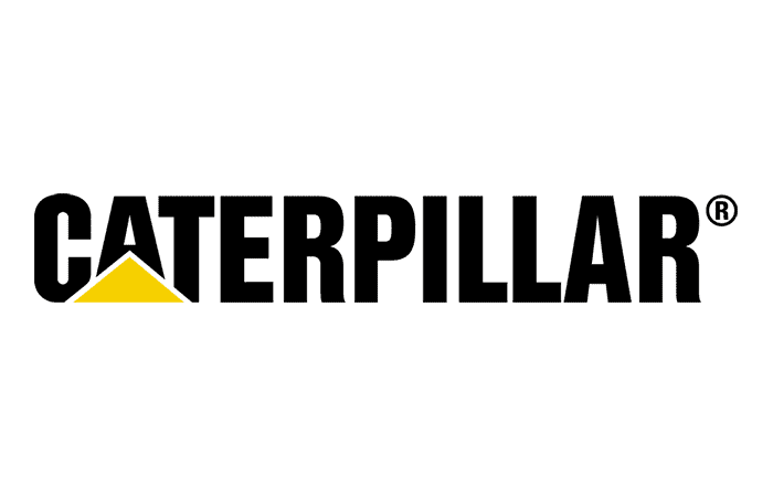 Cat Logo